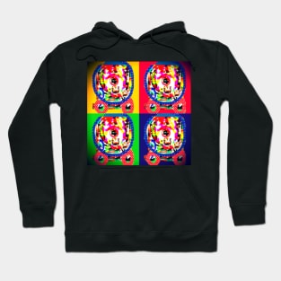 Positano Hoodie